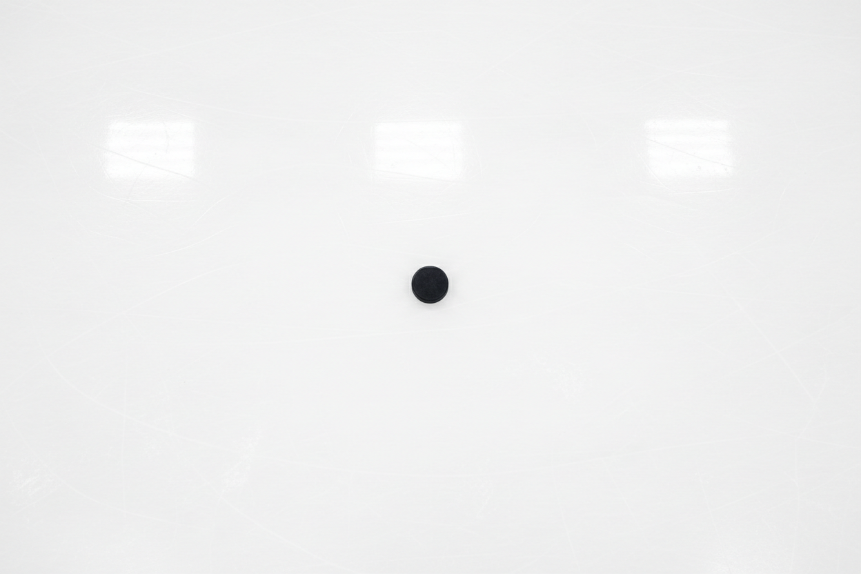 generate image shows a white sheet of ice with a puck in the middle